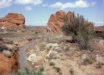 Forty Mile Spring, northeast of Dance Hall Rock. Lamont Crabtree Photo